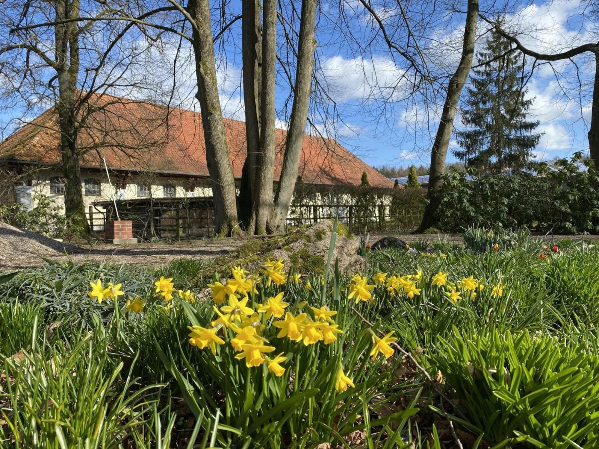 Cozy Holiday Home On A Horse Farm In The L Neburg Heath Eschede Zewnętrze zdjęcie