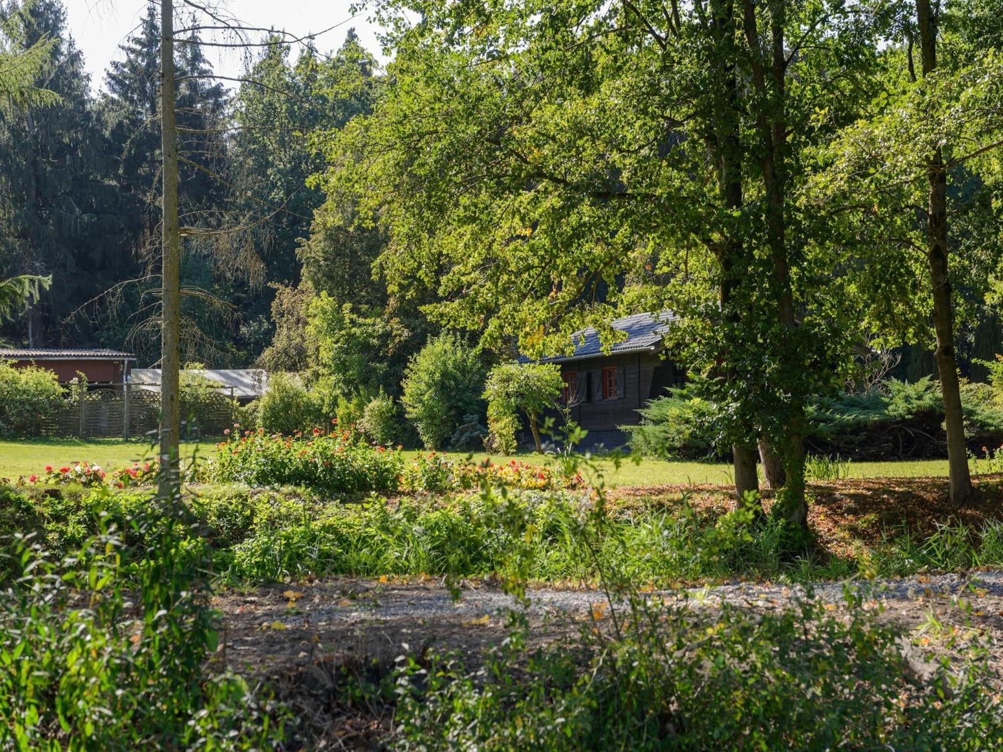 Cozy Holiday Home On A Horse Farm In The L Neburg Heath Eschede Zewnętrze zdjęcie