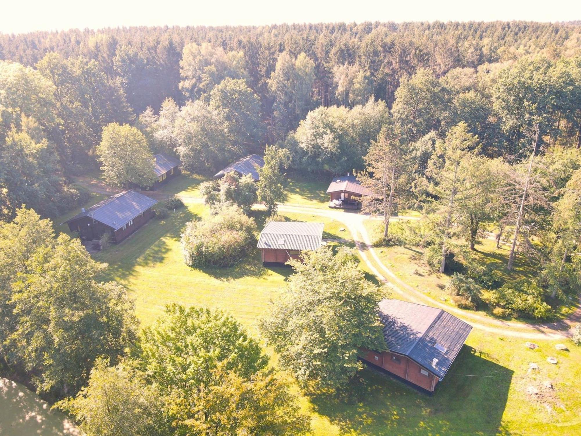 Cozy Holiday Home On A Horse Farm In The L Neburg Heath Eschede Zewnętrze zdjęcie