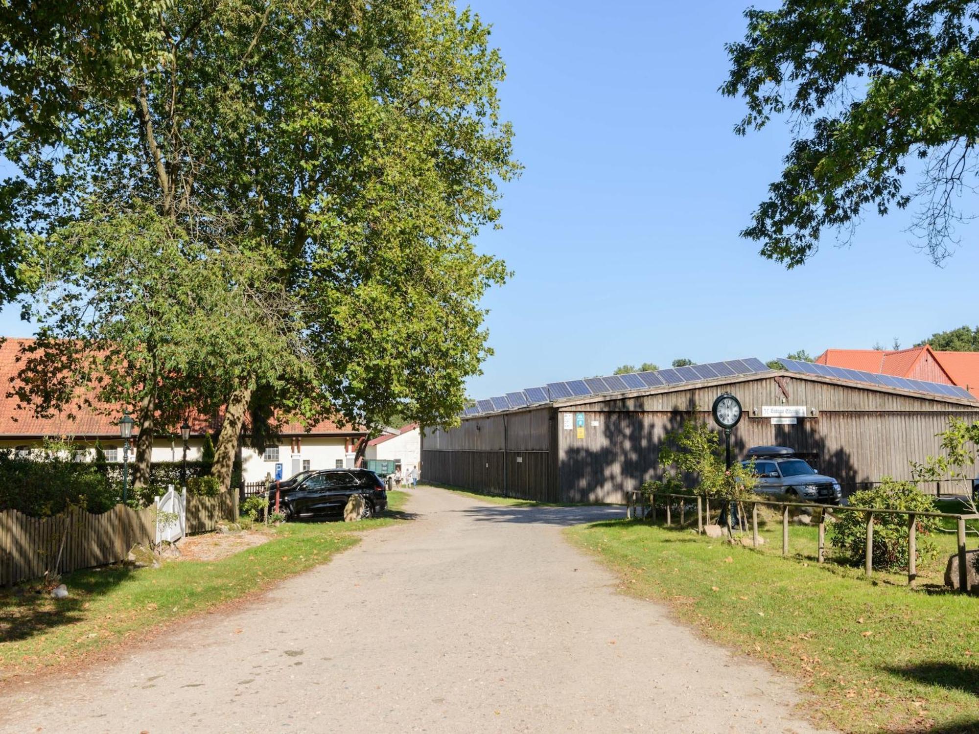 Cozy Holiday Home On A Horse Farm In The L Neburg Heath Eschede Zewnętrze zdjęcie