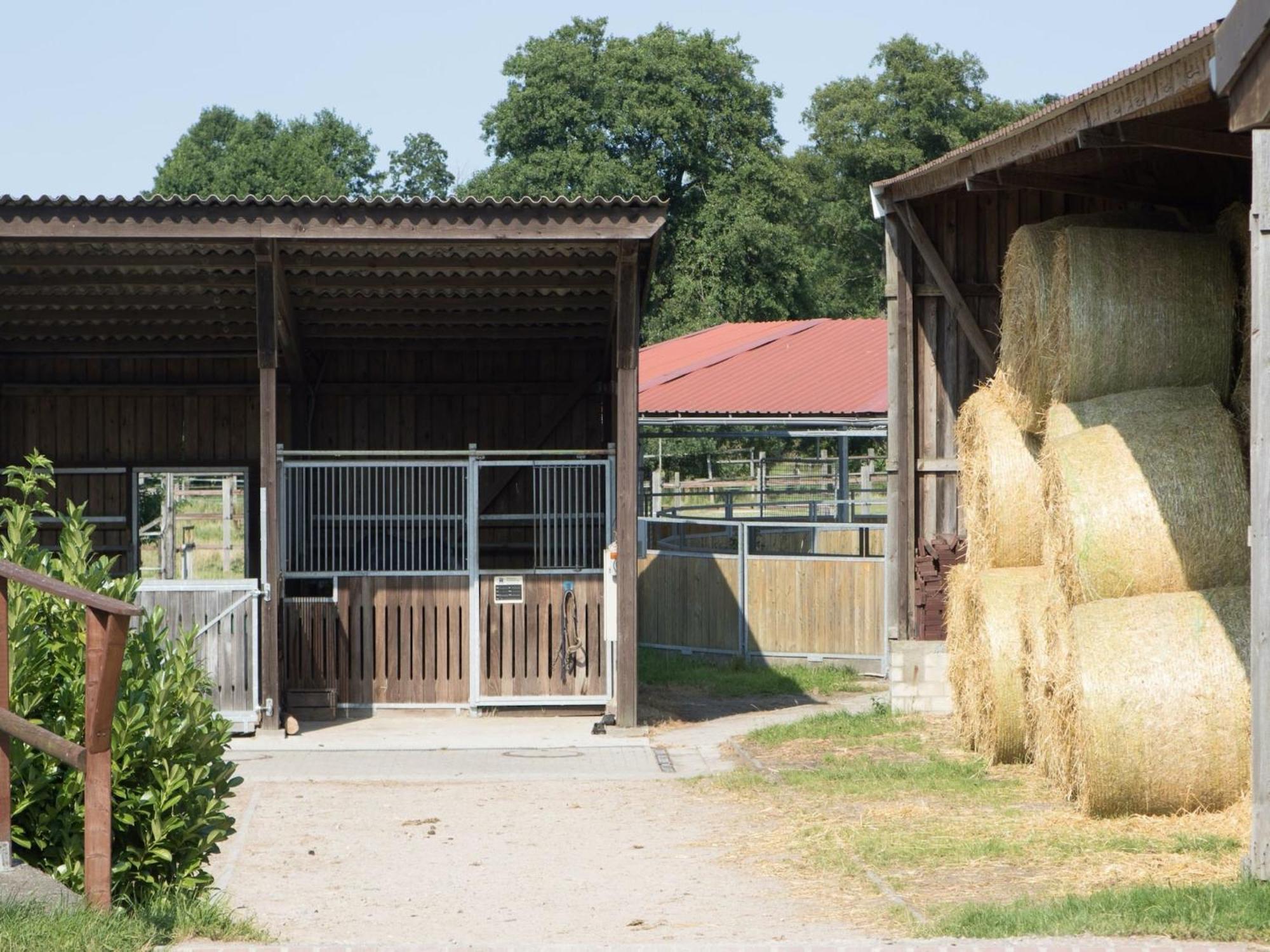 Cozy Holiday Home On A Horse Farm In The L Neburg Heath Eschede Zewnętrze zdjęcie